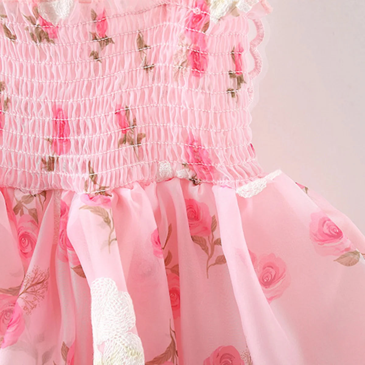 Butterfly Garden Princess Dress